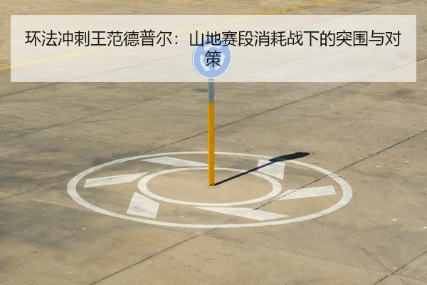 huan-fa-chong-ci-wang-fan-de-pu-er-shan-di-sai-duan-xiao-hao-zhan-xia-de-tu-wei-yu-dui-ce-3-989.jpg