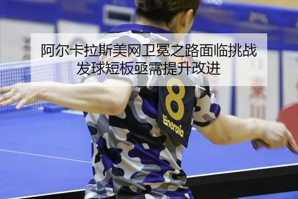 a-er-ka-la-si-mei-wang-wei-mian-zhi-lu-mian-lin-tiao-zhan-fa-qiu-duan-ban-ji-xu-ti-sheng-gai-jin-3-171.jpg