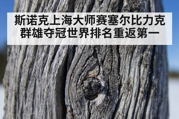 斯诺克上海大师赛塞尔比力克群雄夺冠世界排名重返第一